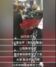 西安奔驰王女士最新爆料,维权之路再起波澜，揭露惊人内幕